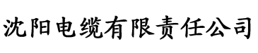 下载色视频app电缆厂logo